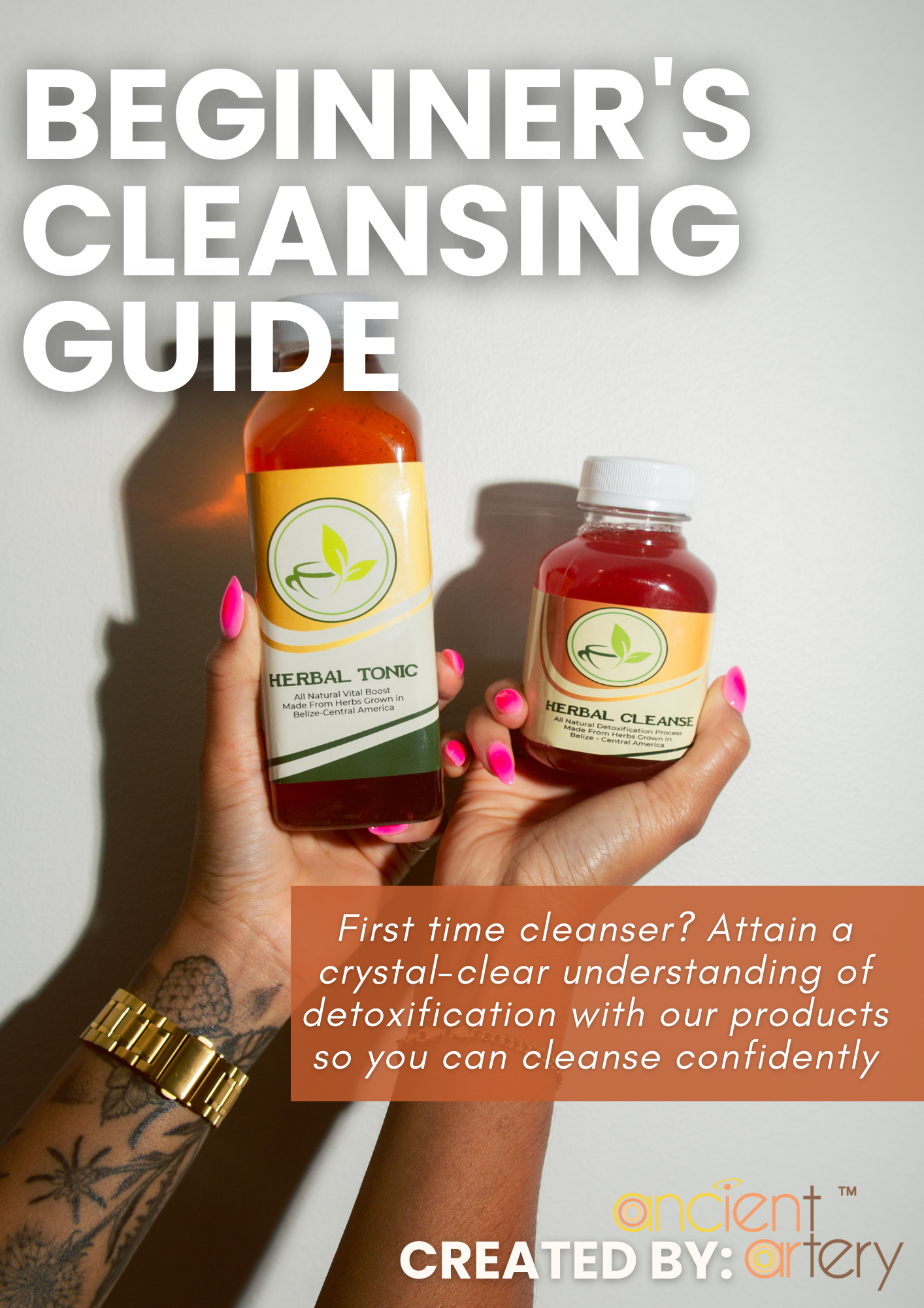 Beginner's Cleansing Guide Digital eBook